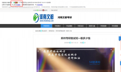 文章收录为啥显示的关键词是，号大神帮我看下吧