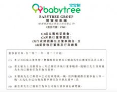 宝宝树管理组织升级：董事长王怀南牵头成立战略委员会  目前是什么情况?