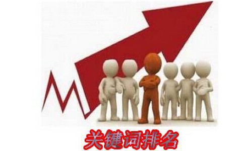 专注于SEO有哪些好处呢