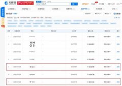 华为技术有限公司申请“智飞行”、“智途行”商标 想知道为什么？