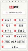 头条搜索发布2020年十大流行语：逆行者、集美、后浪位列前三 还原实发经过及