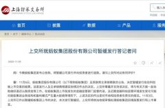 上交所就蚂蚁集团股份有限公司暂缓发行答记者问 真相原来是这样