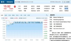 易车网私有化协议获股东大会批准 将从纽交所退市 事情经过真相揭秘