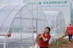 农业“人机”对战 第一届“多多农研科技大赛”决赛正式启动 真相原来是这样