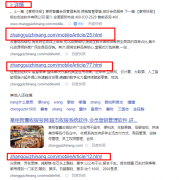 收录的文章标题为网址是怎么回事？