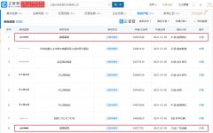 B 站关联公司申请 “霹雳霹雳”、“噼哩噼哩”商标