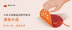 头条小说品牌升级为“番茄小说” 所有小说免费阅读 事件详细始末介绍