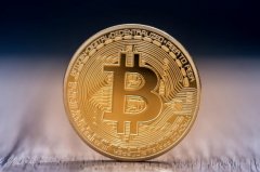 “狂热”比特币投资者悲喜录：一瞬登上财富之巅