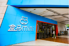 前置仓没活路？盒马mini要做行业终极目标还为时尚早 到底是是什么状况