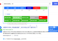网站首页收录异常怎么回事啊 www.tusijm.cn  找不到