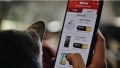 考拉海购上线“硬核补贴”频道 商品覆盖近千种 具体是啥情况？