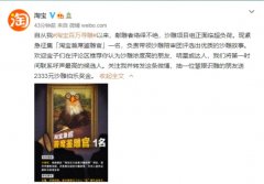 淘宝招募 “首席鉴雕官”：评选沙雕故事