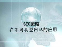 SEO技术大师-不同类型网站的搜索引擎优化策略