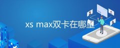 iphone xs max改双卡(xs max双卡在哪里)