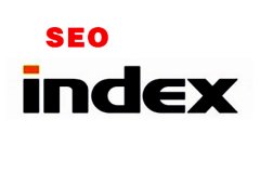 SEO索引的作用，如何让搜索引擎快速索引！