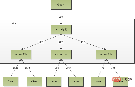 nginx 进程模型 图片来自网络