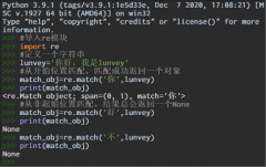 Python3.9.1中使用match方法详解