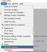 ssh连接工具，IDEA SSH工具连接方式