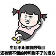 都说老域名加备案可以增进收录，搞个试试