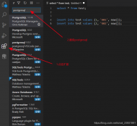 Visual Studio Code(VS Code)查询PostgreSQL拓展安装教程图解