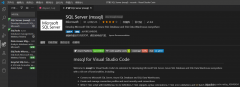 Vscode上使用SQL的方法