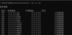 怎么查看端口占用？windows和linux系统服务器