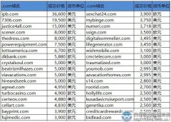 三字母ipb.com六位数领跑Sedo榜！数字域名7306.com紧随其后