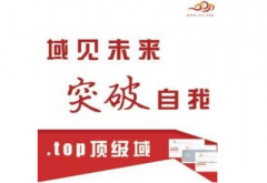 2月15至今，top域名注册量冲破17万