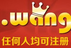 域名“wang”价值突显，更多的被网络巨头所看中