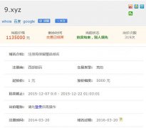 9.xyz域名113.5万高价结拍，单数字行情持续升温