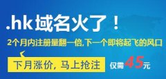 域名.hk大爆发，知名企业全面启用？