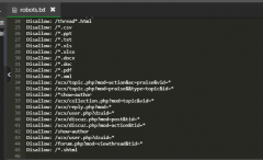 各位我这样设置robots应该没有错的吧？