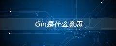 gin是什么意思？