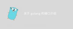 关于 golang 的接口介绍