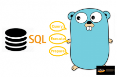关于Go SQL中的Query、Exec和Prepare使用对比（附网络抓包）