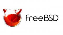 苹果 2021 年向 FreeBSD 基金会捐赠金额不到 250 美元