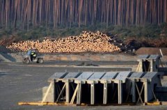 苹果播客推出按月付费会员服务 你会买吗》