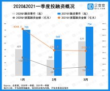 2021 年 Q1 国内融资总披露金额同比增长 185%