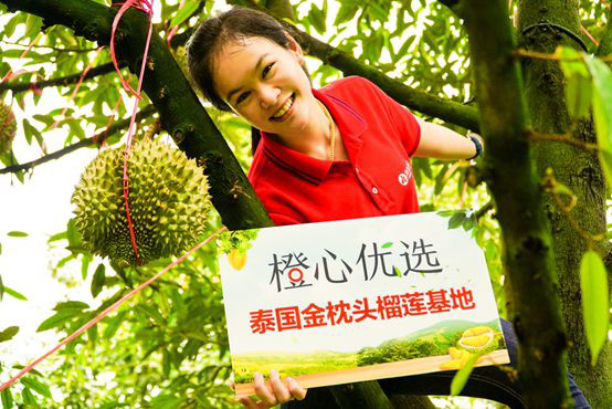 滴滴旗下橙心优选已预定数万吨泰国优质金枕榴莲