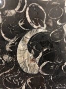 贵阳机场厕所洗手池布满化石