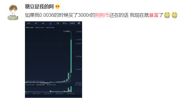 拳打比特币,脚踢以太坊:狗狗币封神之路始末