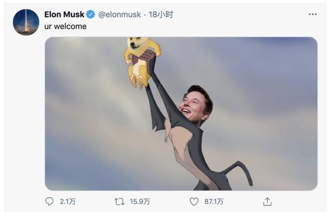 拳打比特币,脚踢以太坊:狗狗币封神之路始末