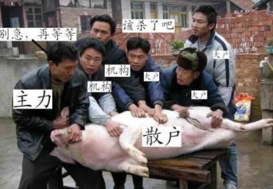 拳打比特币,脚踢以太坊:狗狗币封神之路始末