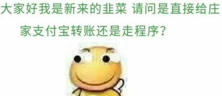 拳打比特币,脚踢以太坊:狗狗币封神之路始末