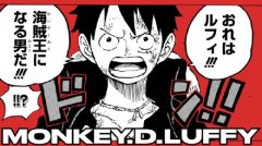 今天是路飞的生日