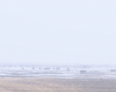 新疆一沙漠频现海市蜃楼