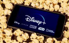 迪士尼流媒体服务 Disney+ 增长减缓
