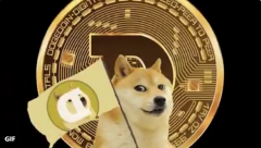 Coinbase CEO：将在未来 6-8 周内提供狗狗币交易！