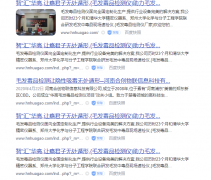 site查询网站收录，显示很多同样的网站首页是怎么回事