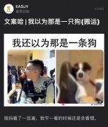 人前是爸人后是狗